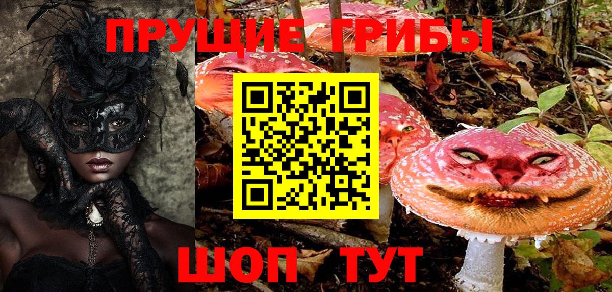 Псилоцибиновые грибы MAGIC MUSHROOMS  Вход с VPN  что такое наркотик  Дубна 